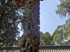 -建水文庙