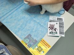 -瑞派·关忠动物医院·猫专科·犬专科(三环新城店)