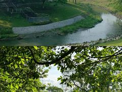 -两河城市森林公园