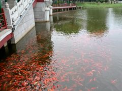 -西海子公园