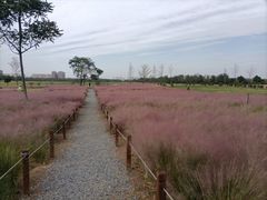 -汉长安城未央宫国家考古遗址公园