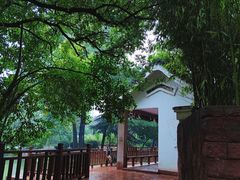 -西苑公园