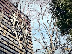 -赤红音乐现场(浦东金桥路店)