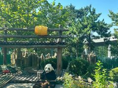 -大连森林动物园