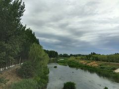 -东郊湿地公园