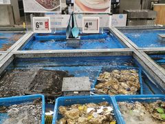 -盒马鲜生(昆城店)