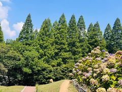 -神户市立六甲山牧场