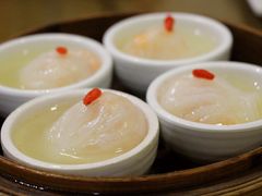参汤虾饺-点心皇子茶餐厅(万国大都会店)