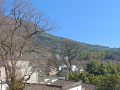 -塔川景区