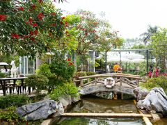 -花溪雨·森林餐厅(石基店)