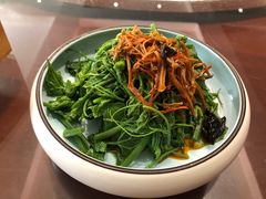 凉拌丝瓜尖-玉华台饭庄·淮扬菜·烤鸭(望京店)