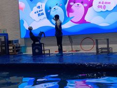-Mr·Kuma酷么先生雪之乐园