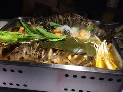 -鱼酷活鱼烤鱼(昆明路店)