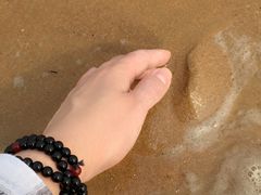 -日照海滨国家森林公园