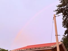 -小叶大馅饺子城