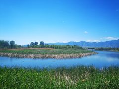 -野鸭湖国家湿地公园