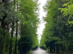 -山王坪喀斯特国家生态公园