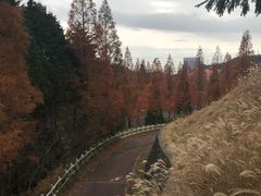 -神户市立六甲山牧场