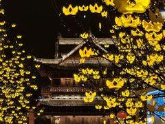 -中国宜宾·长江地标广场