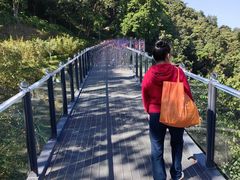 -黄埔油麻山森林公园