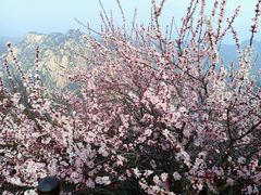 -华山风景名胜区