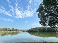 -福建鲤鱼洲酒店