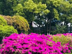 -长阳创谷