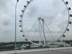 -新加坡摩天观景轮
