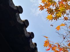 -常熟方塔园