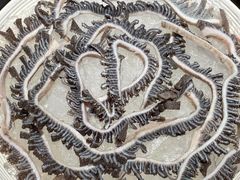 -洞子口重庆鲜货火锅(楚翘城旗舰店)