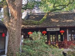 -上海醉白池公园