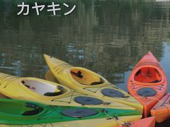 -动邦皮划艇·桨板·独木舟·团建户外运动俱乐部