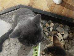 -么么咖啡(燕郊店)