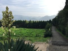 -秦始皇帝陵博物院-丽山园