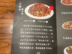 -杨乐辣子鸡(和田一街店)