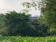 -成都市文化公园
