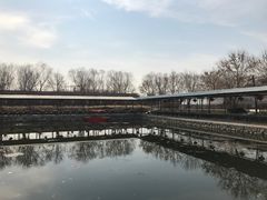 -北京上庄水库尚野露天户外自助烧烤