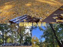 -山东大学(趵突泉校区)