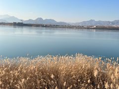 -青龙湖公园