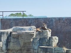 -齐齐哈尔龙沙动植物园