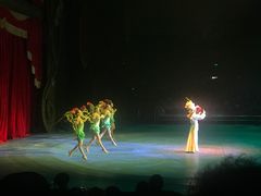 -珠海横琴长隆《卡卡虎奇遇记》