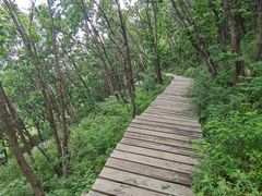 -白草畔自然风景区