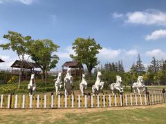 -上海长兴岛郊野公园