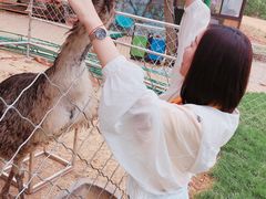 -金石滩蓝莓谷庄园