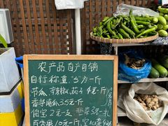 -三溪村