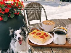 -Peet's Coffee皮爷咖啡(大学路店)