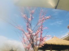 -苏州湾王焰温泉度假酒店