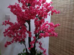 -印象徽州·正宗徽菜体验店