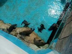 -秦皇岛乐岛海洋王国