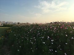 -无锡新湖铂尔曼大酒店